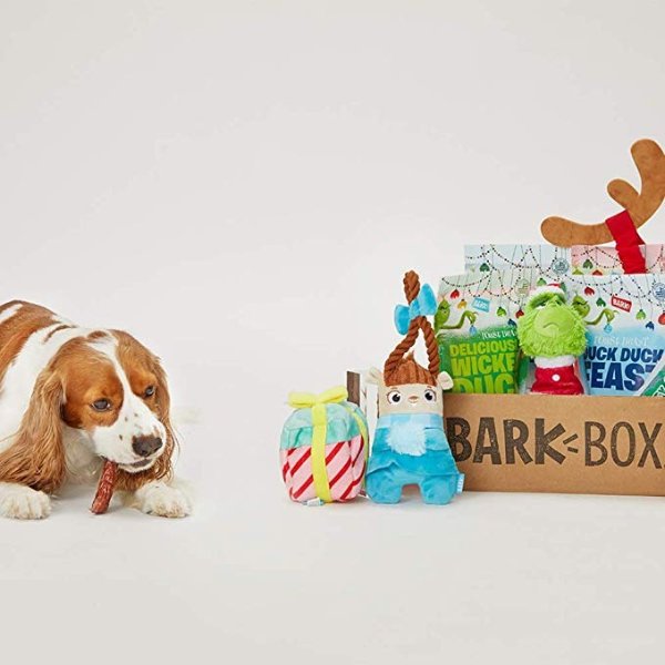 和电影The Grinch 联名节日限量版汪星人礼物盒 适合中型狗狗
