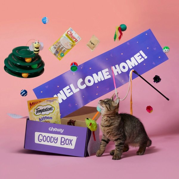Goody Box 奶猫玩具零食惊喜礼盒