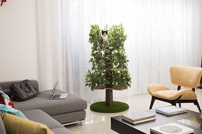 Luxury Cat Tree, Round, Large - Chewy.com