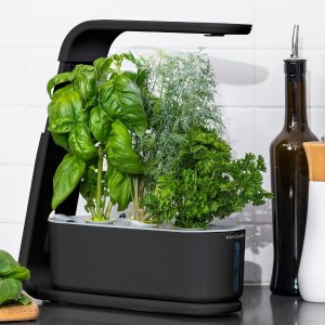 Today Only: AeroGarden Sprout with Gourmet Herbs Seed Pod Kit