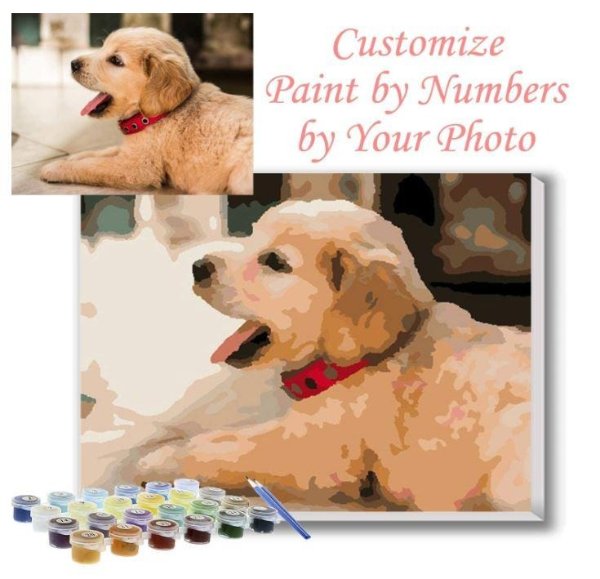 Custom paint by numbers kits|Paint by numbers for adults