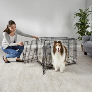 Petco Select New Dog Essentials on Sale