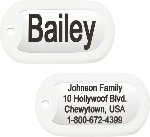 GOTAGS Personalized Stainless Steel ID Tag with Silencer, Rectangle, Regular - Chewy.com