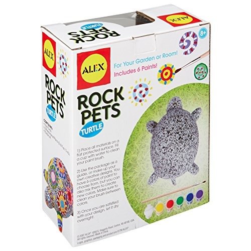 Craft Rock Pets Turtle, Multi