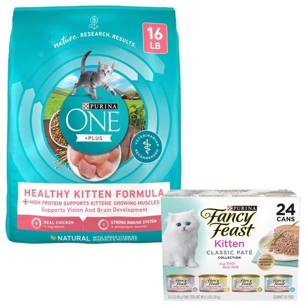 Bundle: Purina ONE Healthy Kitten Formula Dry Food + Fancy Feast Tender Feast Canned Kitten Food