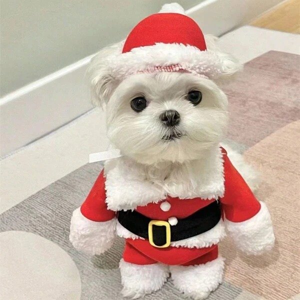 1set Christmas Costume For Pet, Including Santa Claus Clothes, Hat, And Standing Two Feet Clothes For Dog And Cat In Winter