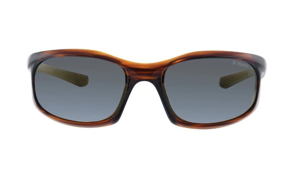 CH 5028 C02 Rectangular Sunglasses