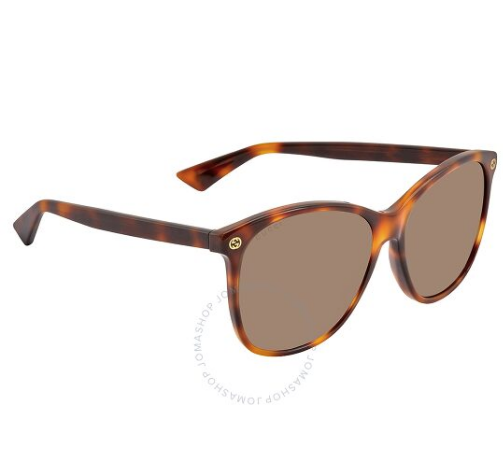 Brown Shaded Square Ladies Sunglasses GG0024S 002 58