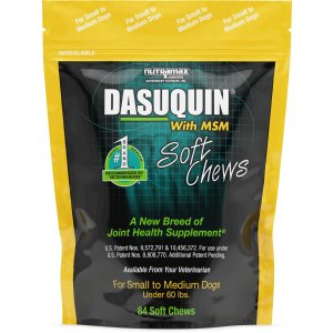 Nutramax Dasuquin with MSM Soft Chews Joint Supplement for Dogs