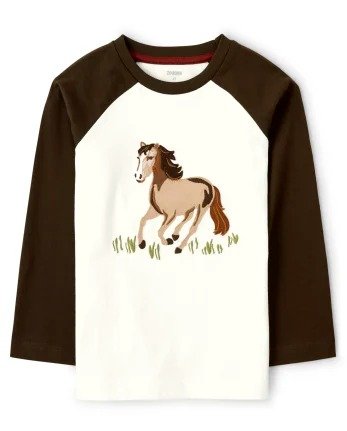 Boys Long Sleeve Embroidered Horse Raglan Top - Western Skies | Gymboree