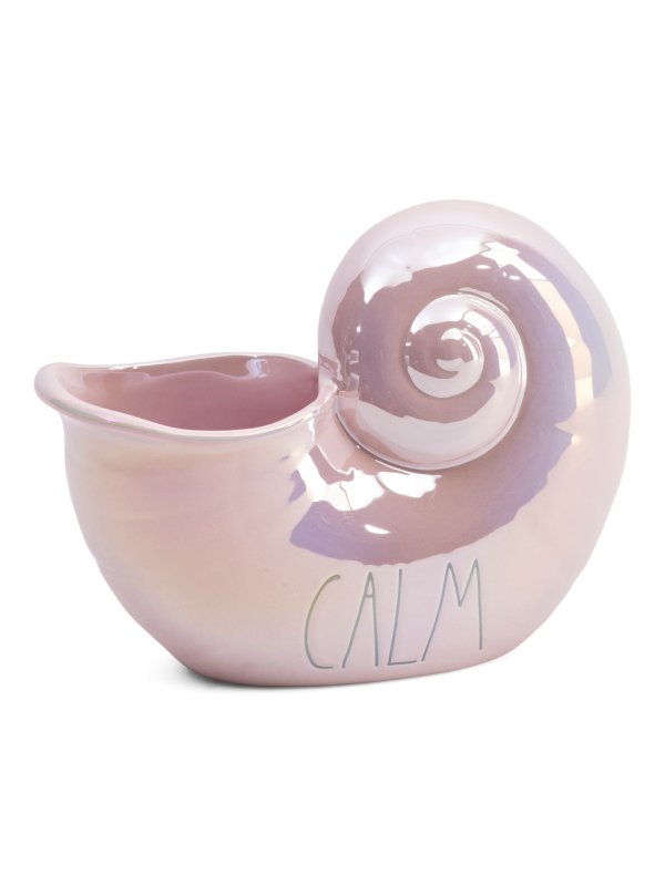 6x8 Calm Lustrous Ceramic Shell