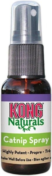 KONG Naturals Catnip Spray - Chewy.com