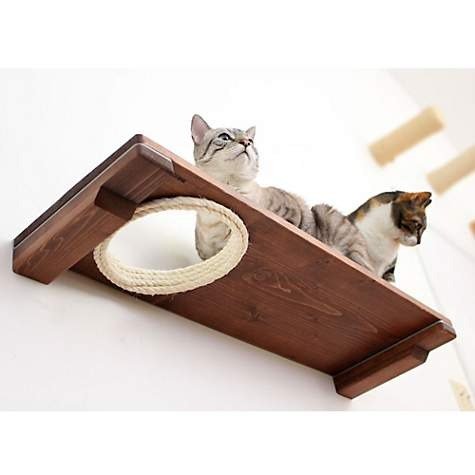 CatastrophiCreations The Cat Mod 34" Escape Hatch Shelf for Cats in English Chestnut | Petco