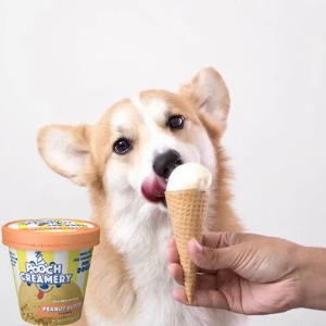 Pooch Creamery Ice Cream Mix Dog Treats on Sale