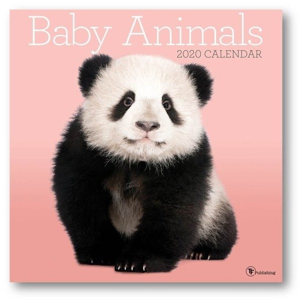 Baby Animals 2020 Wall Calendar