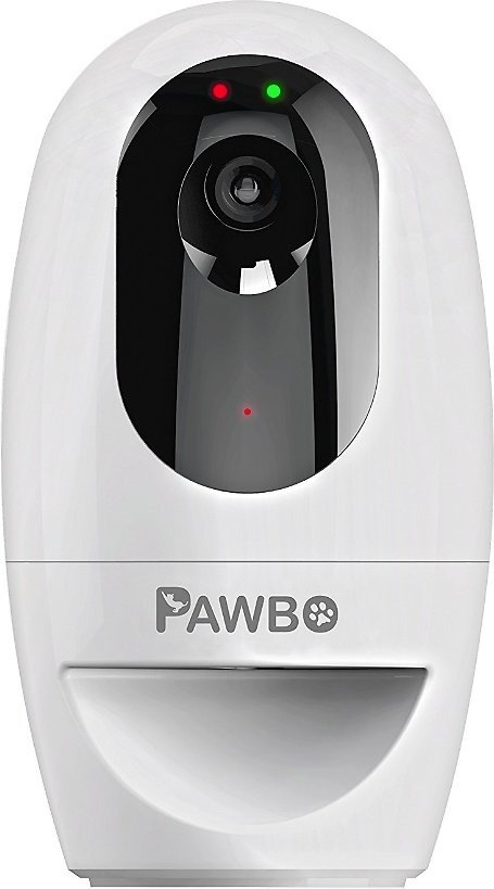 Pawbo+ Wi-Fi Interactive Pet Camera and Treat Dispenser - Chewy.com