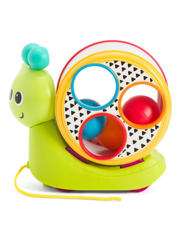 Speedy&#39;s Magical Shell Activity Toy