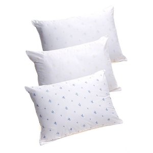 Select Ralph Lauren Pillow @ Belk