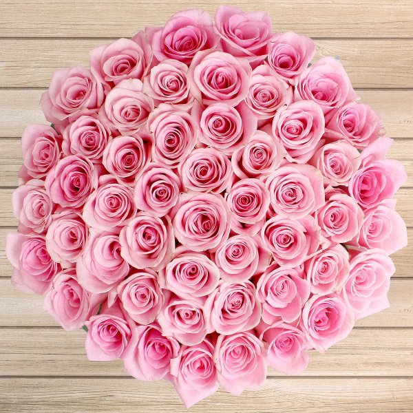 Mother's Day 50-stem Light Pink Roses