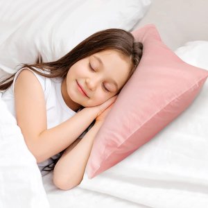 Babebay Toddler Pillow with Pillowcase