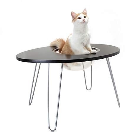 Hauspanther Collection by Primetime Black NestEgg for Cat | Petco