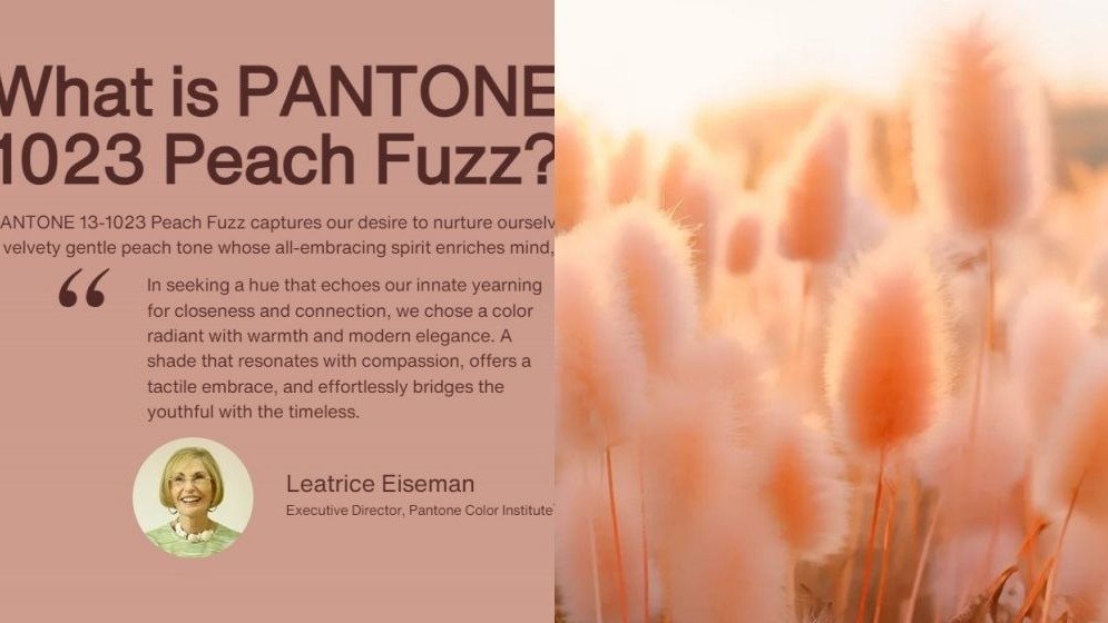 2024 Pantone 年度色彩揭晓！Peach Fuzz 柔和桃色温暖又优雅~