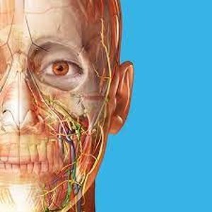 $0.99白菜价：Human Anatomy Atlas 2023 人体解剖学图谱 iOS app