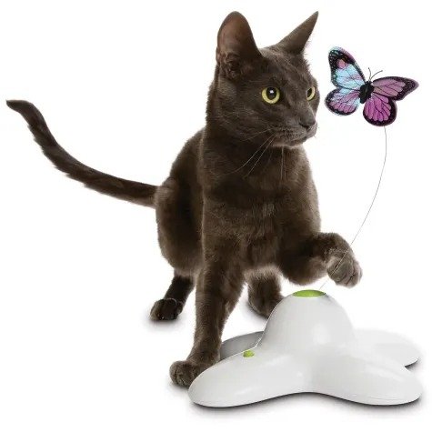 Electric Flutter Butterfly Cat Toy | Petco