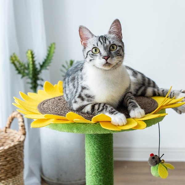 Sunflower 23.2-in Sisal Cat Scratching Post with Toy - Chewy.com