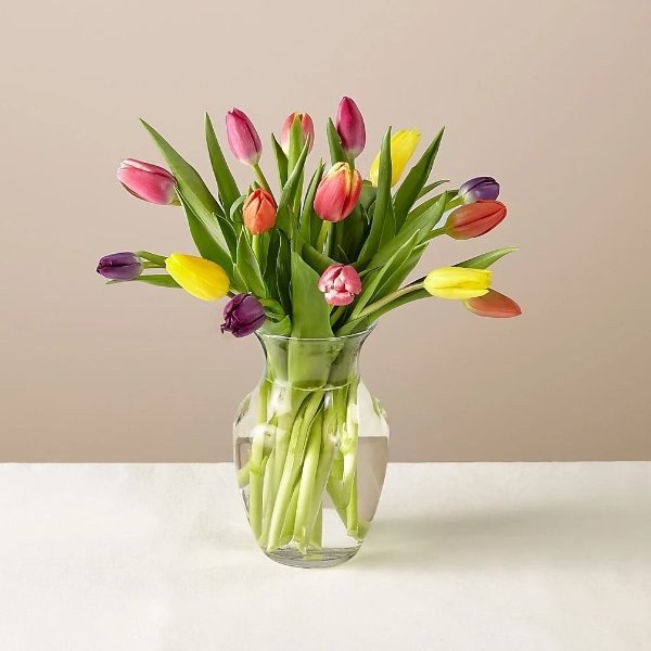 15 Stem Spring Breeze Multicolored Tulip Bouquet With Vase