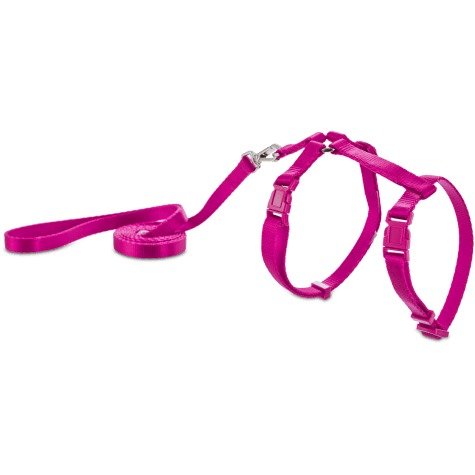 Pink Kitten Harness and Lead Set | Petco