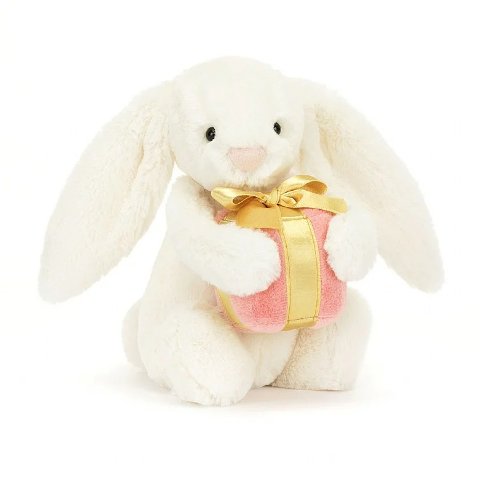 送礼物的邦尼兔
