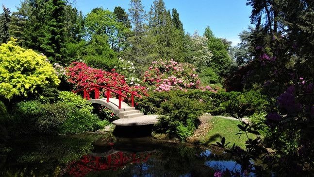 西雅图宝藏日式禅意花园，现已对公众免费开放！