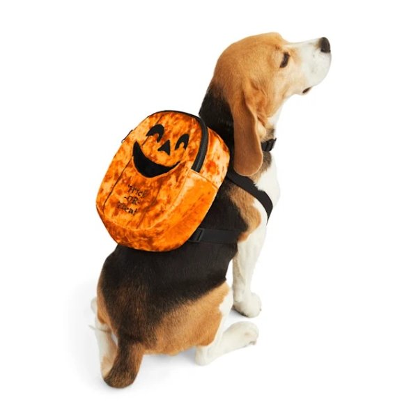 Bootique Pumpkin Bumpkin Pet Backpack, Small/Medium | Petco