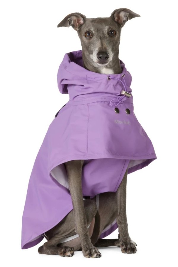 Purple Ain Dog Coat