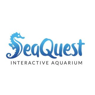 SeaQuest Interactive Aquarium Las Vegas - 拉斯维加斯 - Las Vegas