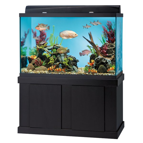 ® Aquarium Ensemble - 150 Gallon