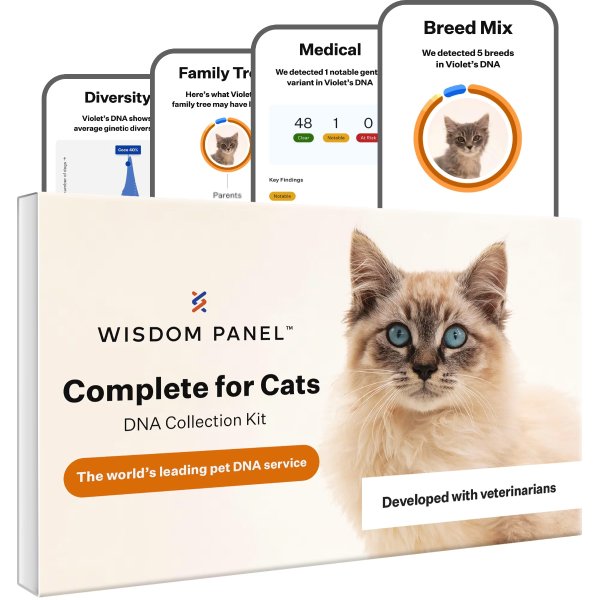 猫 DNA 测试盒