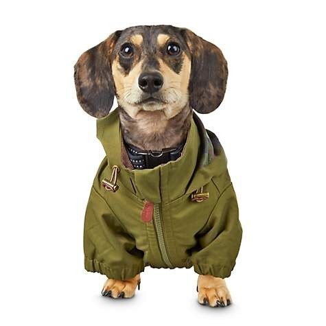 Reddy Green Lined Surplus Dog Jacket, X-Small | Petco