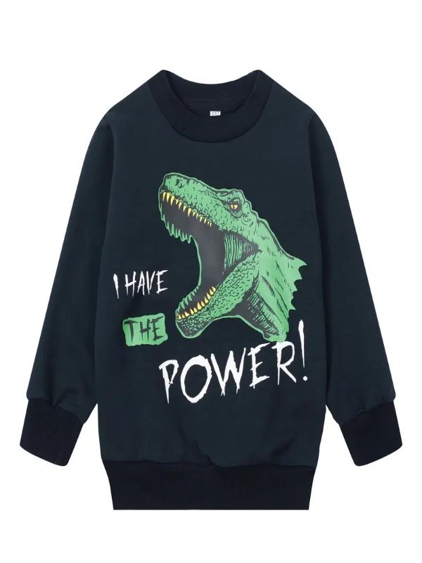 Boys' Dinosaur Print Crew Neck Long Sleeve Sweatshirt