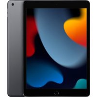 10.2-Inch iPad (9th Generation) with Wi-Fi - 256GB
