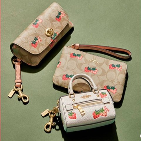 Coach Strawberry Print Nolita 15 Mini Purse  Purses, Luxury purses, Purses  and handbags
