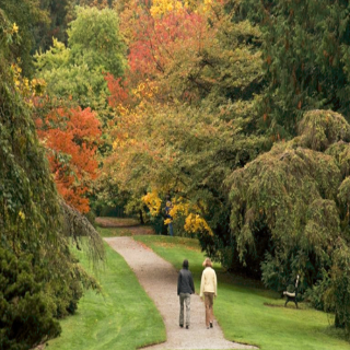 华盛顿植物园 - Washington Park Arboretum - 西雅图 - Seattle