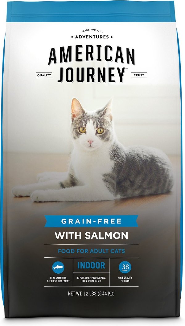 Indoor Recipe with Salmon Grain-Free Dry Cat Food, 12-lb bag - Chewy.com
