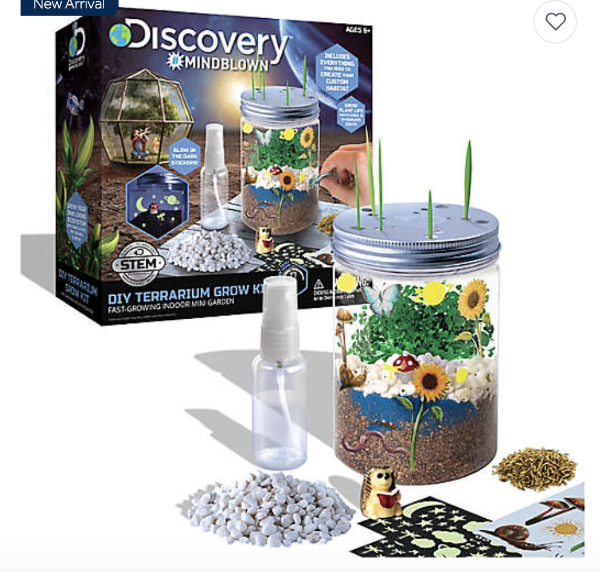 Discovery™ #MINDBLOWN DIY Terrarium Grow Kit | Bed Bath & Beyond
