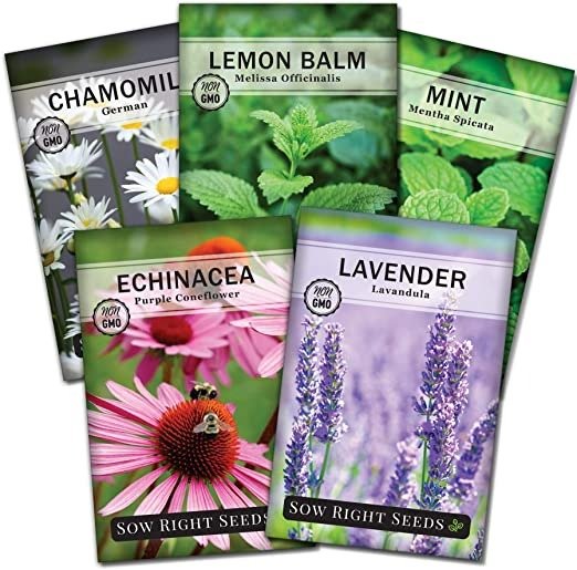 Right Seeds - Herbal Tea Collection - Lemon Balm, Chamomile, Mint, Lavender, Echinacea Herb Seed for Planting; Non-GMO Heirloom Seed, Instructions to Plant Indoor or Outdoor; Great Gardening Gift