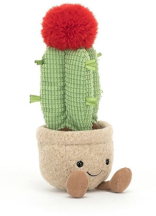 Amuseable Moon Cactus, 8"