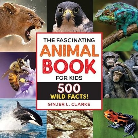 The Fascinating Animal Book for Kids硬壳