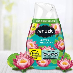 Renuzit 可调节固体空气清新剂 清新雨后香味 12个装