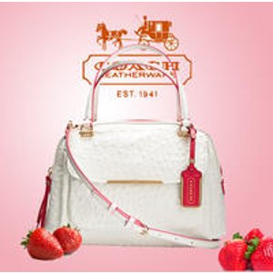 COACH Madison Edgepaint Embossed Ostrich Small Georgie